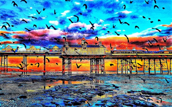 Colourful Murmurations