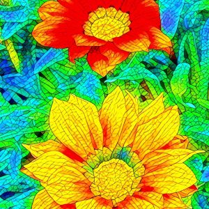 Bright Flowers