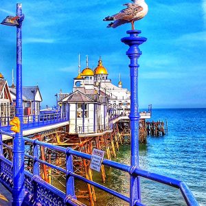 GULL & PIER
